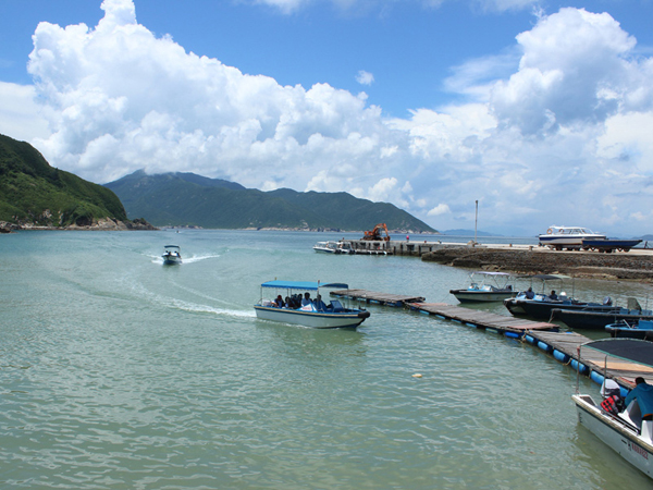 群英薈萃三門島，文韜武略決霸主
